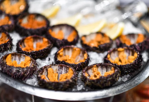 Closeup of plate with sea urchin on ice — Stock Photo, Image