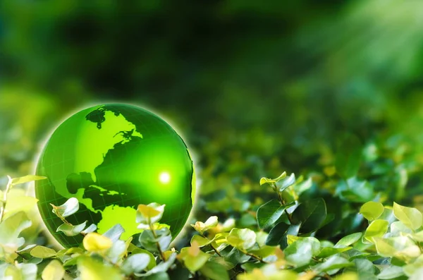 Green Earth Nature Background. Earth globe placed on green leaves environment background.