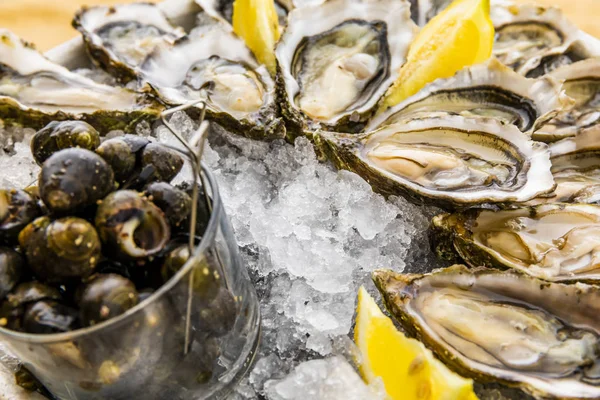 Fresh oysters with lemon, bread and butter