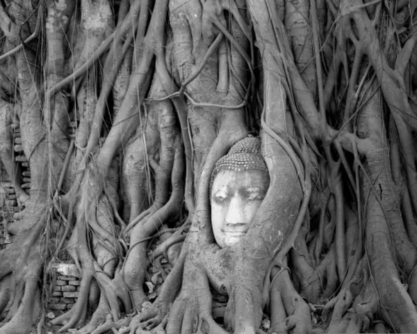 Schöne buddhistische Statue in Thailand zum Fotografieren — Stockfoto
