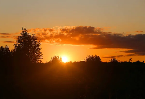 Belo pôr-do-sol fotografado de perto contra o céu — Fotografia de Stock