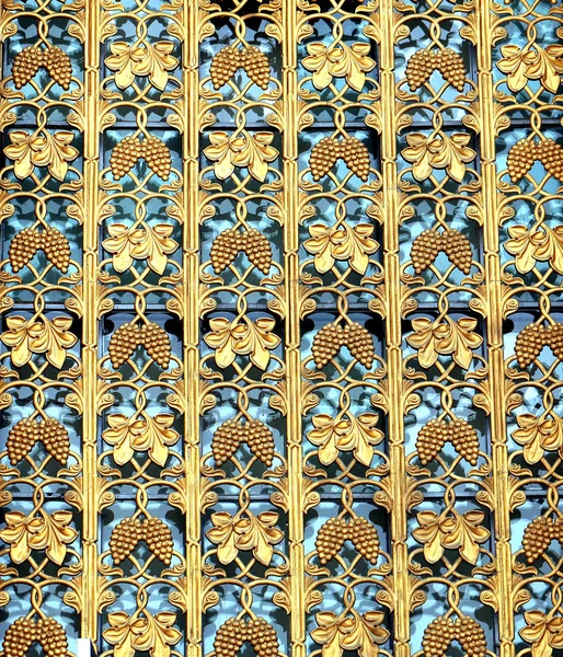 Όμορφο μοτίβο στον τοίχο τσαμπιά των σταφυλιών λαμβάνουν — Φωτογραφία Αρχείου