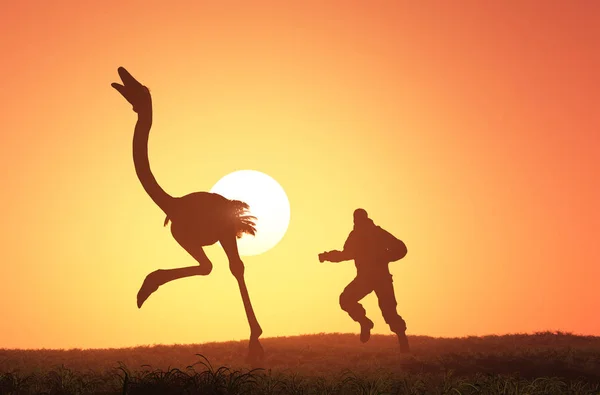 Man Runs Ostrich Render — Stock Photo, Image