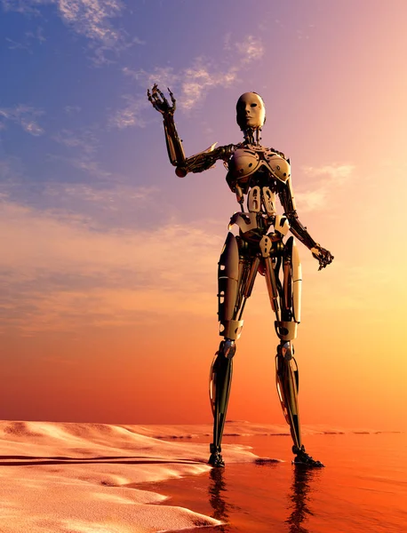 机器人女人在一个五彩缤纷的日落背景 3D渲染 — 图库照片