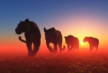 leopar grubunda alan.., 3d render