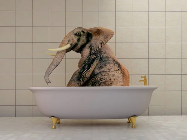 Elephant in the bathroom.,3d render — Stock Image Elephant Bathroom Render Stock Picture