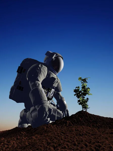 Astronaut Tree Space Render — стоковое фото