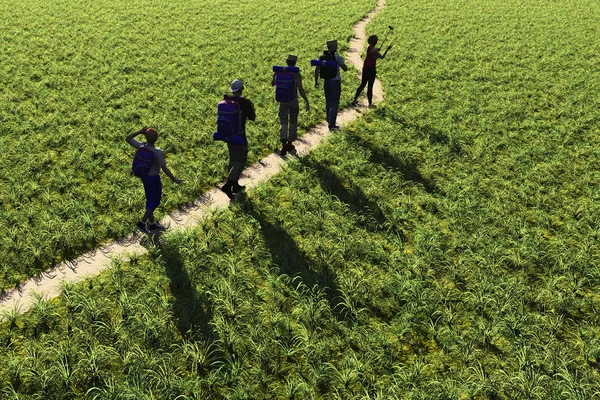Силуэт Группы Людей Траве Рендеринг — стоковое фото