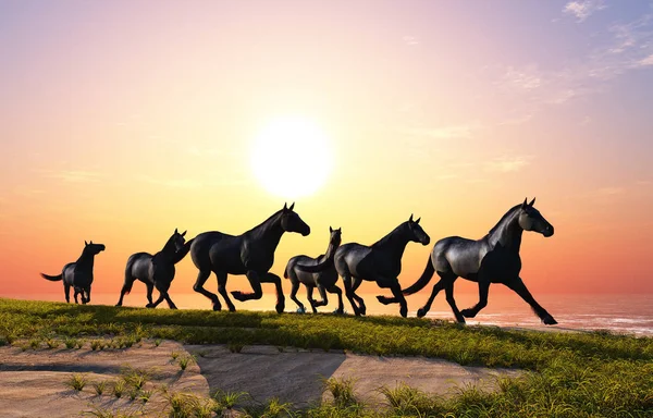 Grupo de Cavalos . — Fotografia de Stock