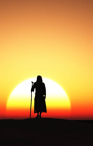 예수님 사막의 예수님 — 스톡 사진