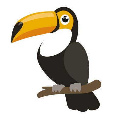 Bir Tukan kuşunun tasviri