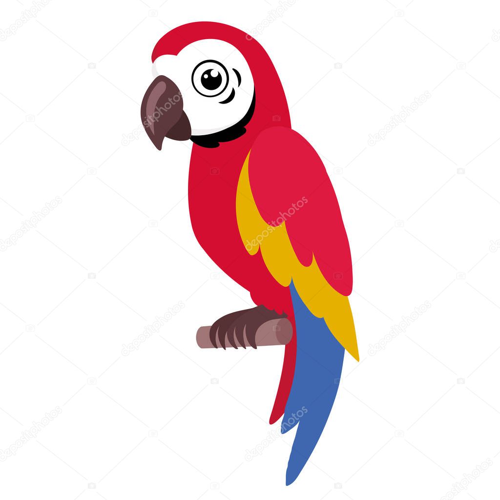 Illustration of a colorful parrot