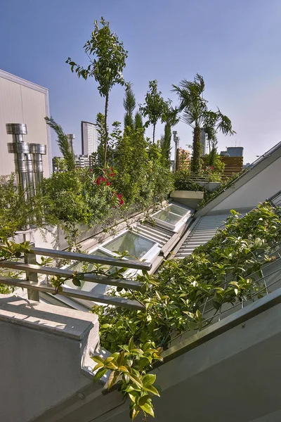 外景拍摄的露台俯瞰迈兰天际线城市在意大利的前景天窗和一些植物 — 图库照片