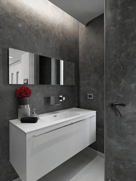 interiors shots of a modern bathroom