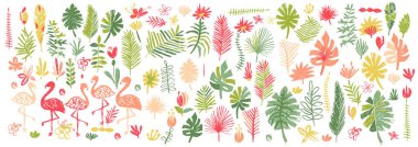Hand drawn tropical flower and flamingo collection clipart