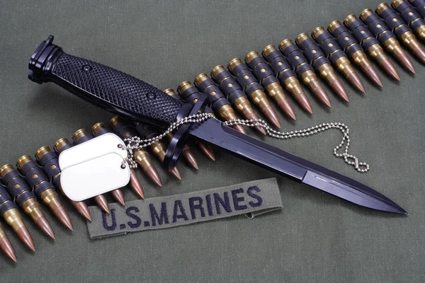 Bajonett Hundeetiketten Und Munitionsgürtel Uns Marineinfanteristen — Stockfoto