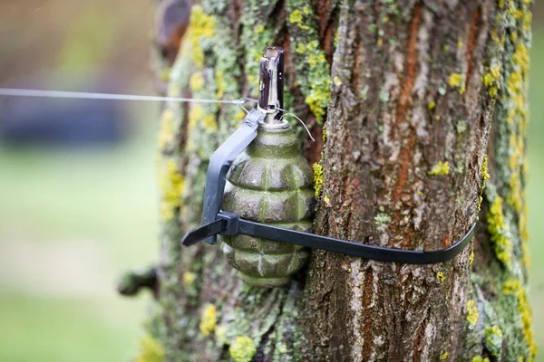 Booby Trap Ied Från Sovjetisk Handgranat Och Snubbeltråd — Stockfoto