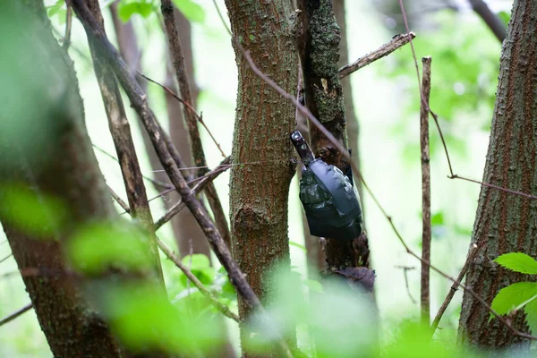 Booby Trap Ied Från Sovjetisk Handgranat Och Snubbeltråd — Stockfoto