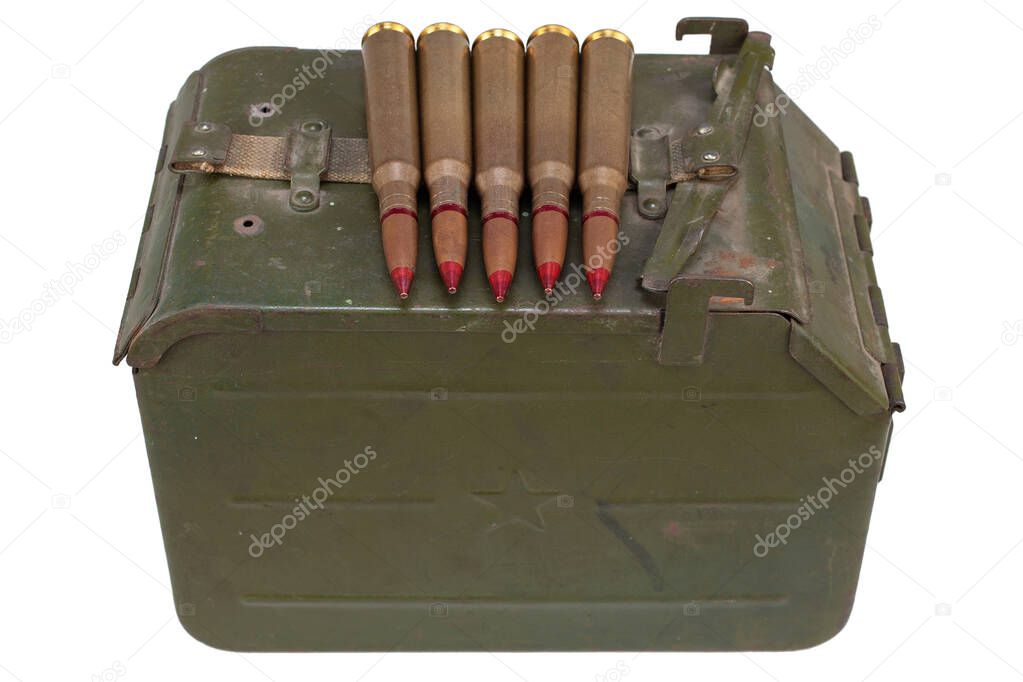 Decalcomanie Ammo Can .223 Adesivi Per Lattina Munizioni .223 REM - Foto 6