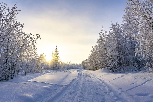 Hermoso Paisaje Invierno Fabuloso Bosque Cubierto Nieve — Foto de Stock