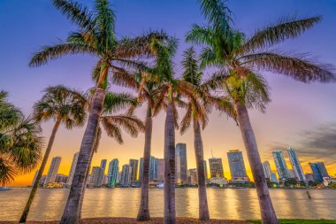Bisayne koyunda Miami, Florida, ABD skyline alacakaranlıkta.