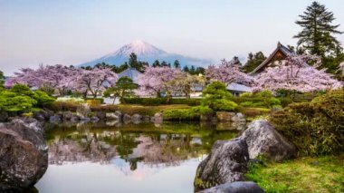 Fujinomiya, SHIZUOKA, Japonya Mt. Fuji ve tapınaklar bahar sezonu ile.