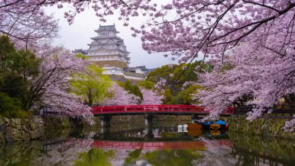 Himeji Японія Замок Хімедзі Весняний Сезон — стокове відео