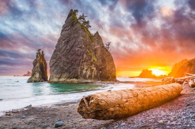 Olimpik Milli Parkı, Washington, ABD'deki Rialto Beach.