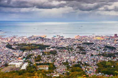 Otaru, Hokkaido, Japonya kasaba cityscape Ishikari Bay üzerinde.