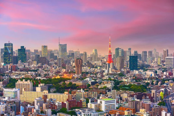 Tokyo, Japonya cityscape ve alacakaranlıkta Kulesi Ebisu Mahallesi.