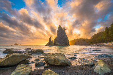 Olimpik Milli Parkı, Washington, ABD'deki Rialto Beach.