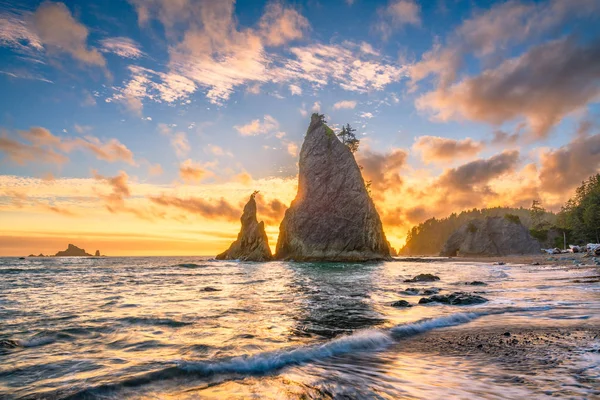 Olimpik Milli Parkı, Washington, ABD'deki Rialto Beach.