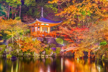 Recai-ji Tapınağı, Kyoto, Japonya sonbahar gece yanar.