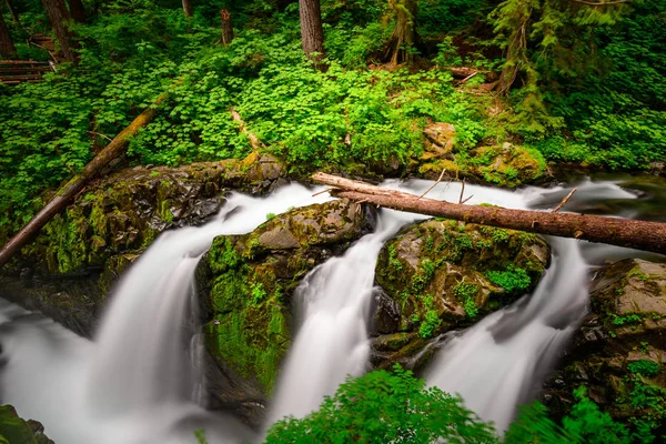 Sol Duc Falls Olympic National Park Washington Usa — Stockfoto