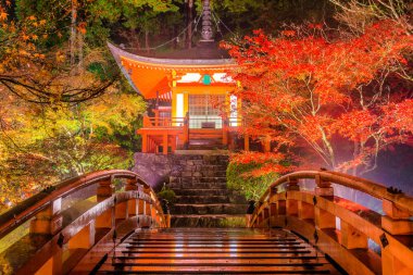 Recai-ji Tapınağı, Kyoto, Japonya sonbahar gece yanar.