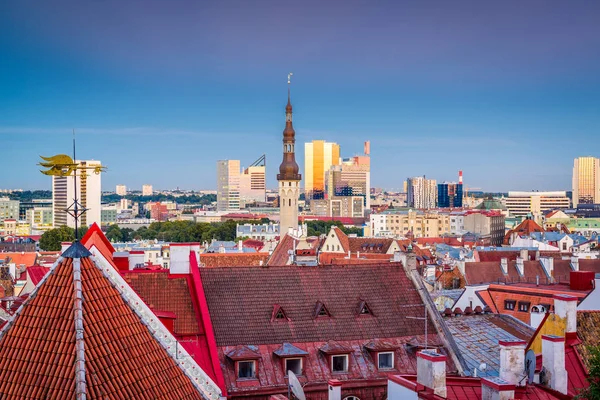 Stare Miasto Tallinnie Panoramę — Zdjęcie stockowe