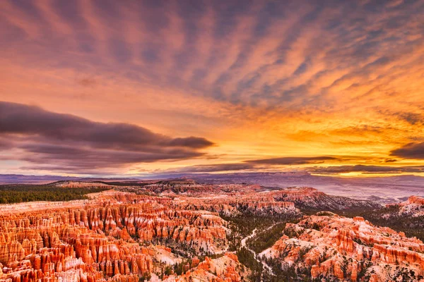 Bryce Canyon Nationalpark Utah Usa Morgengrauen — Stockfoto