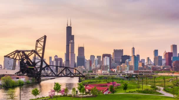 Chicago Illinois Usa Parkjában Skyline Twilight — Stock videók