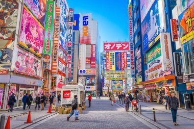 Tokyo, Japonya - 11 Ocak 2017: Akihabara renkli işaretleri aşağıda kalabalık geçmektedir. Tarihi bölge elektronik video oyunları, anime, manga ve bilgisayar ürünler için alışveriş bölgesine dönüşmüştür.