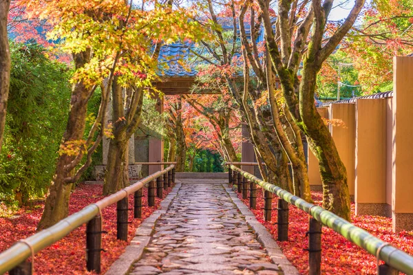 Wejście Świątyni Kyoto Japonia Sezonie Jesiennym — Zdjęcie stockowe