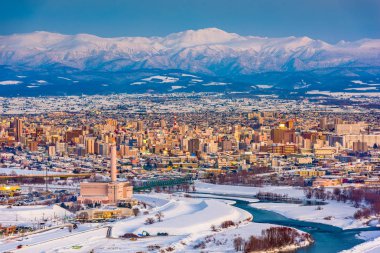 Asahikawa, Hokkaido, Japonya kış manzarası.