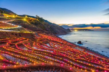 Wajima, Japan at Shiroyone Senmaida rice terraces night light up. clipart