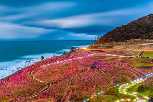 Wajima, Japan at Shiroyone Senmaida rice terraces night light up.