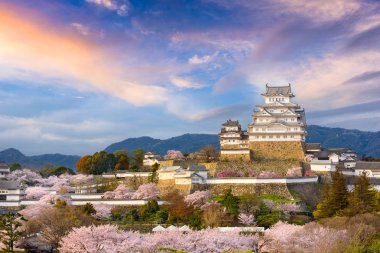 Nda bahar kiraz çiçeği sezonunda Himeji Kalesi Himeji, Japonya.