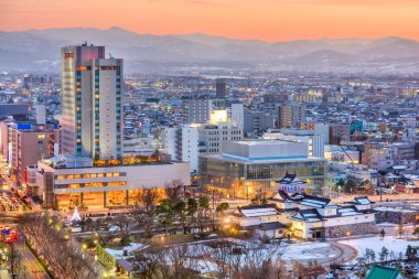 Toyama, Japan şehir şehir manzarası.