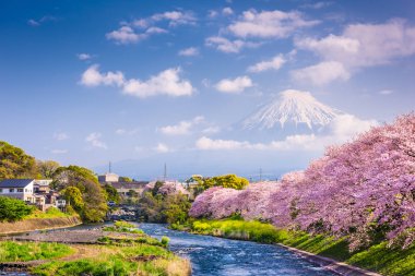 Mt. Fuji, Japonya bahar manzara.