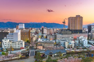 Kofu, alacakaranlıkta şehir cityscape Yamanashi, Japan.