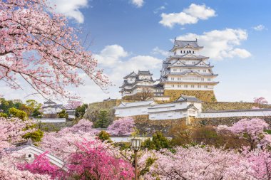 Nda bahar kiraz çiçeği sezonunda Himeji Kalesi Himeji, Japonya.