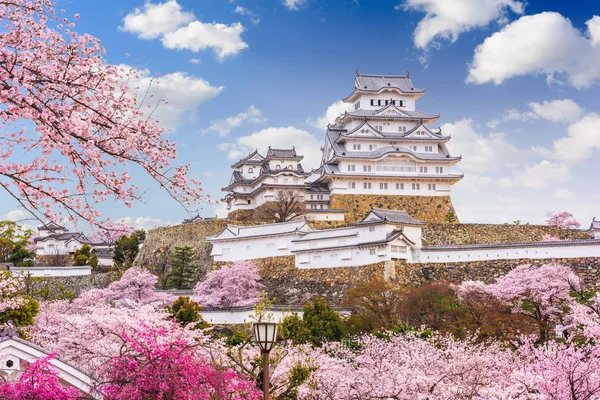 Japán Himeji Himeji Vár Tavasz Cseresznyevirág — Stock Fotó