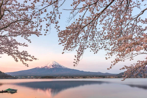川口湖 春天里的晚上富士 — 图库照片